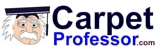 Carpet Professor Logo